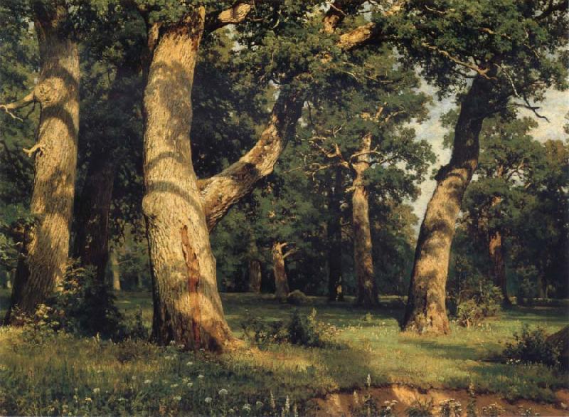 Ivan Shishkin Oak of the Forest Spain oil painting art
